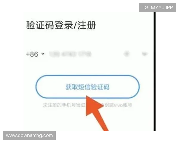 皇冠登录手机官网官方平台介绍,全面了解登录流程与安全保障